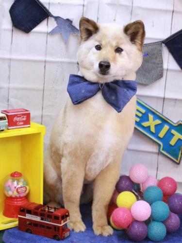 20230419れんくん